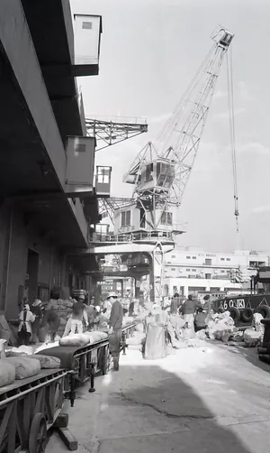 摩耶埠頭埋め立て