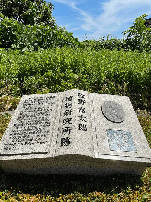 植物研究所跡の碑