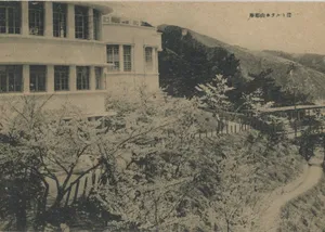 摩耶山ホテルと桜