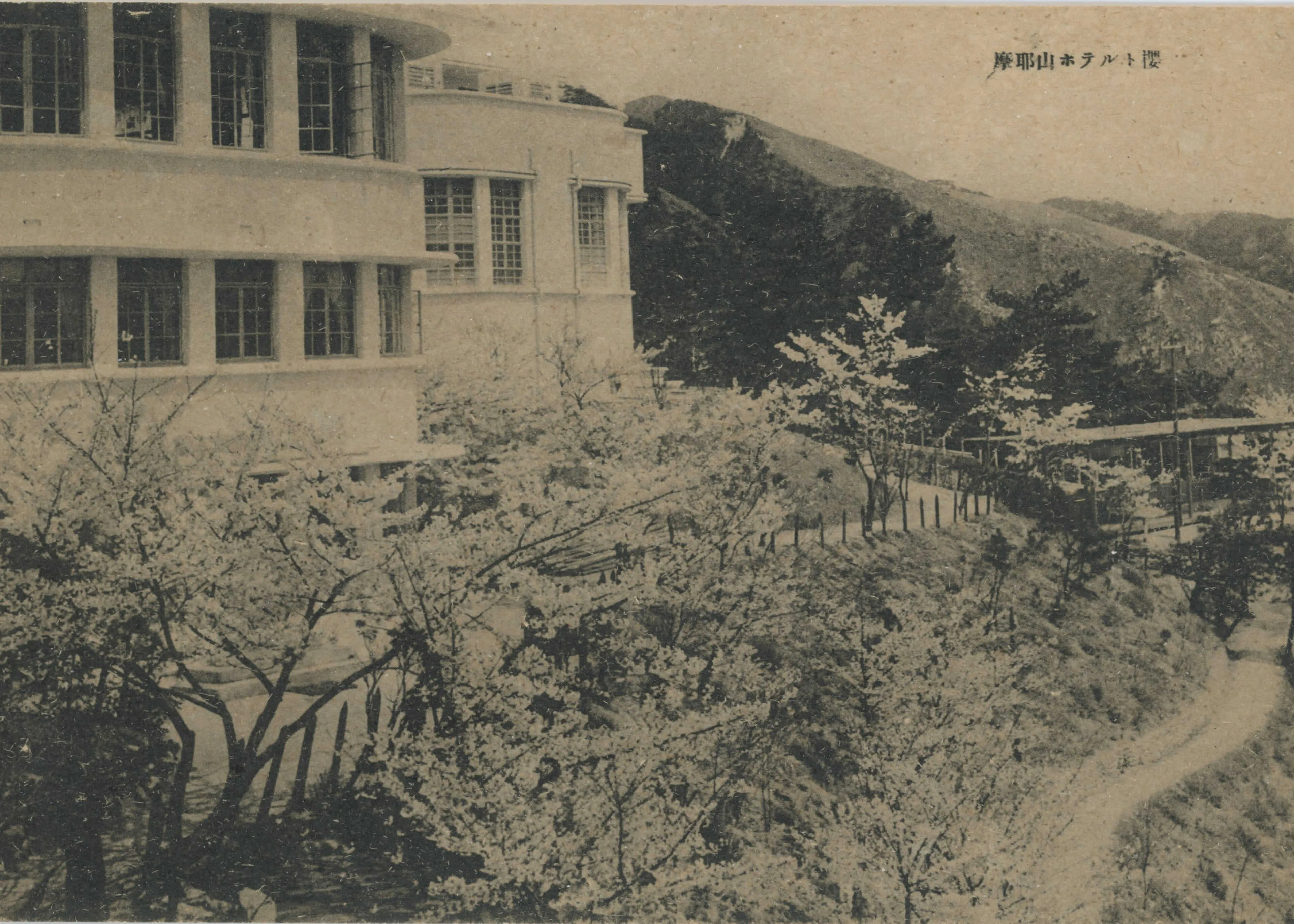 摩耶ホテルの斜面に満開の桜が咲いている写真。