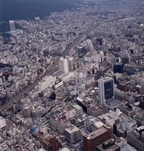 選択されている画像です